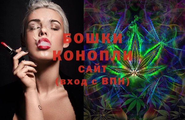 стаф Бородино