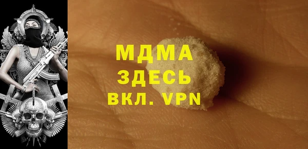 стаф Бородино