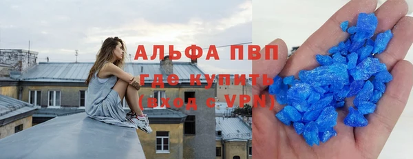 стаф Бородино