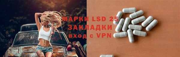 стаф Бородино