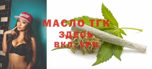 стаф Бородино