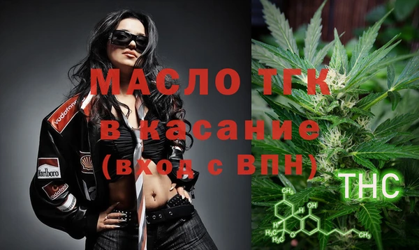 стаф Бородино