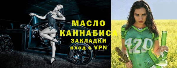 стаф Бородино