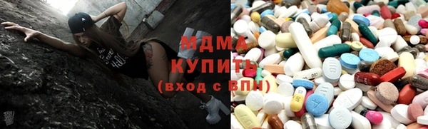 стаф Бородино